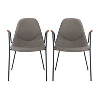 Safavieh Tanner Dining 2-pc. Side Chair