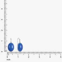 Liz Claiborne Womens Blue Drop Earrings