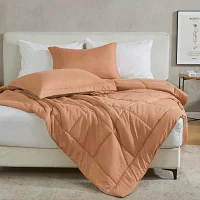 Linery Reversible Down Alternative 2-pc. Quilt Set