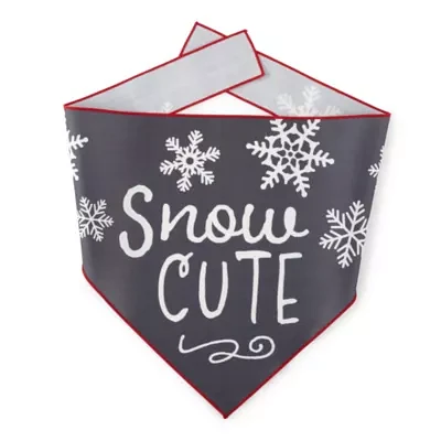 Paw & Tail Snow Cute Bandana