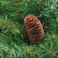 42'' Pine Artificial Christmas Teardrop Swag with Pine Cones - Unlit