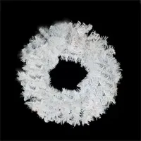 24'' White and Silver Mixed Pine Artificial Christmas Wreath - Unlit