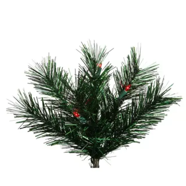 Asstd National Brand Pre-Lit Midnight Green Pine Artificial Christmas Wreath  36-Inch Red Lights Plaza Las Americas