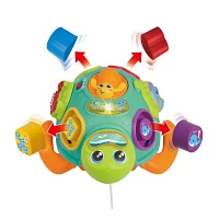 Winfun Pull Along Sort N Learn Turtle