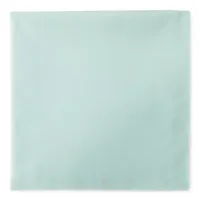 Home Expressions Light Aqua 4-pc. Napkins