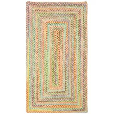 Capel Inc. Baby's Breath Concentric Braided Rectangular Rugs