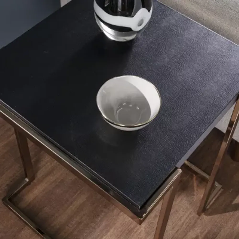 Tongray Living Room Collection End Table