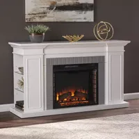 Stegwing Bookcase Electric Fireplace