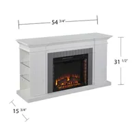 Stegwing Bookcase Electric Fireplace