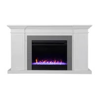 Stegwing Bookcase Color Changing Electric Fireplace