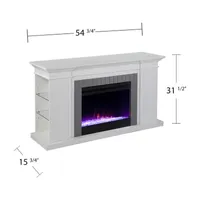 Stegwing Bookcase Color Changing Electric Fireplace