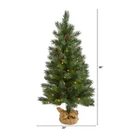 Nearly Natural 3 Foot Pre-Lit Fir Christmas Tree