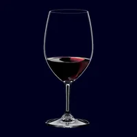 Nachtmann Vivino Bold 4-pc. Red Wine Glass