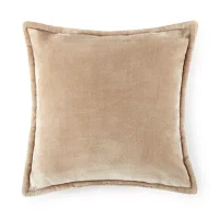 Home Expressions Velvet Plush 2-pack Square Throw Pillow