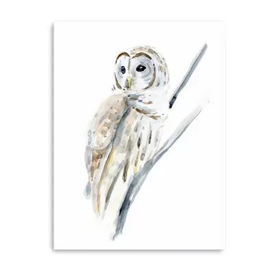 Lumaprints Arctic Owl I Giclee Canvas Art