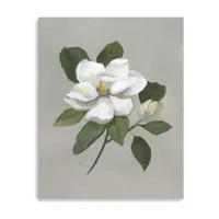 Lumaprints Botanical Magnolia Giclee Canvas Art