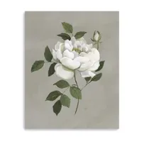 Lumaprints Botanical Rose Giclee Canvas Art