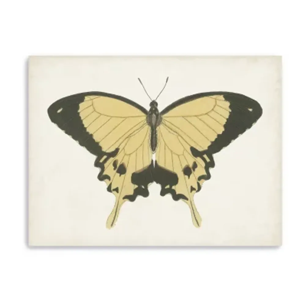 Lumaprints Beautiful Butterfly I Giclee Canvas Art