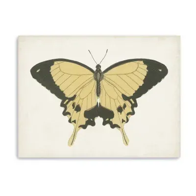 Lumaprints Beautiful Butterfly I Giclee Canvas Art