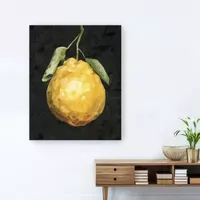 Lumaprints Dark Lemon Ii Giclee Canvas Art