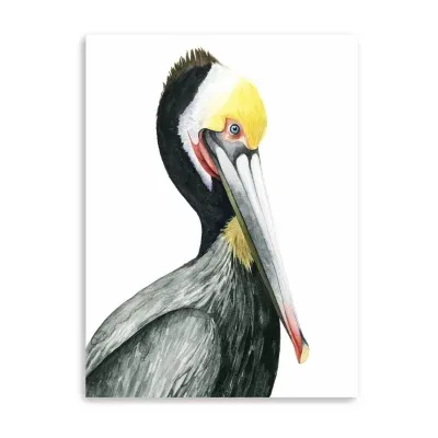 Lumaprints Watercolor Pelican I Giclee Canvas Art