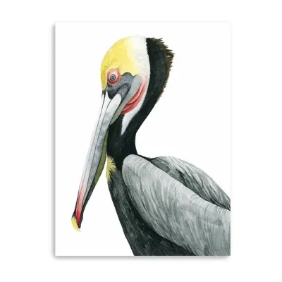 Lumaprints Watercolor Pelican Ii Giclee Canvas Art