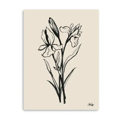 Lumaprints Iris Sketch I Giclee Canvas Art