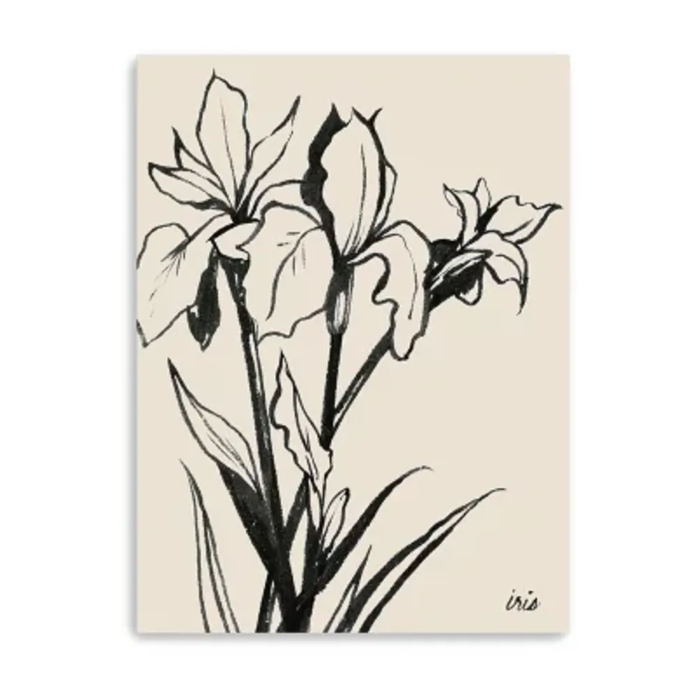 Lumaprints Iris Sketch Iii Giclee Canvas Art