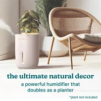 HoMedics Top-Fill Warm + Cool With Planter Humidifiers