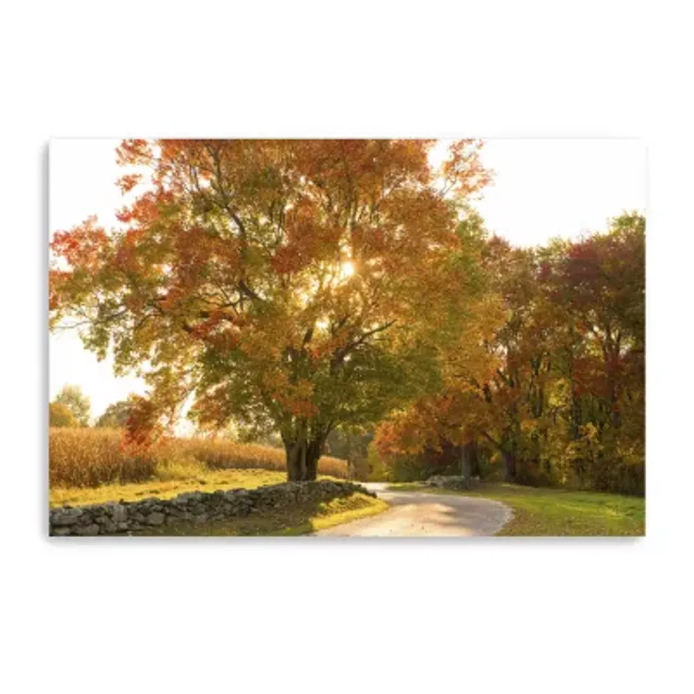 Lumaprints Maple Tree Drive Giclee Canvas Art