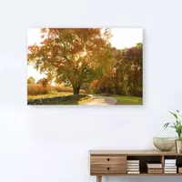 Lumaprints Maple Tree Drive Giclee Canvas Art