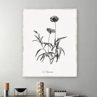 Lumaprints Simply Imperial Giclee Canvas Art