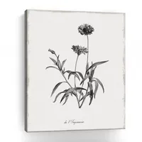 Lumaprints Simply Imperial Giclee Canvas Art