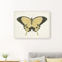 Lumaprints Beautiful Butterfly I Giclee Canvas Art