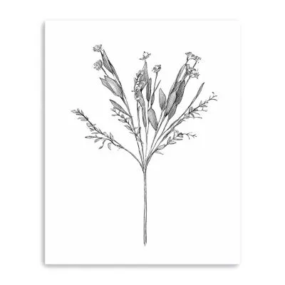 Lumaprints Field Flower I Giclee Canvas Art