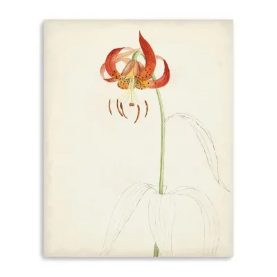 Lumaprints Watercolor Botanical Sketches I Giclee Canvas Art