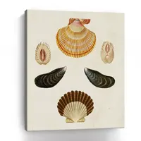 Lumaprints Knorr Shells I Giclee Canvas Art