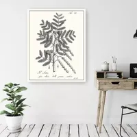 Lumaprints Antique Black & White Botanical I Giclee Canvas Art