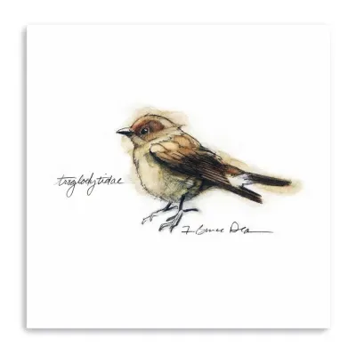 Lumaprints Songbird Study I Giclee Canvas Art