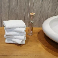Linum Home Textiles Denzi 6-pc. Quick Dry Washcloth