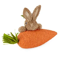 Linden Street Carrot Sisal Easter Tabletop Decor