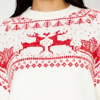 Forever 21 Juniors Fairisle Deer Sweater Womens Crew Neck Long Sleeve Holiday Pullover