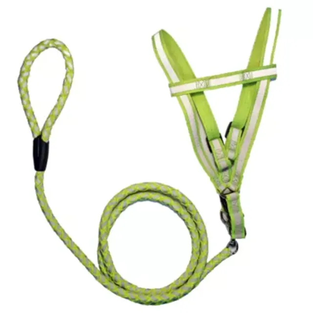 Joyride Dog Harness 2.0 (Solid Colors)