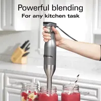 Hamilton Beach Professional Variable Speed Hand Blender