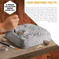 Discovery™ #Mindblown Colossal Fossil Dig Set