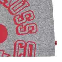 Levi's Big Boys Crew Neck Short Sleeve Graphic T-Shirt