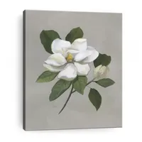 Lumaprints Botanical Magnolia Giclee Canvas Art