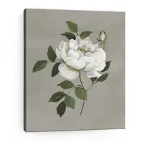 Lumaprints Botanical Rose Giclee Canvas Art