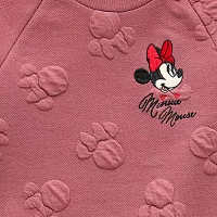 Toddler Girls 2-pc. Minnie Mouse Pant Set