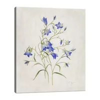 Lumaprints Blue Botanical I Canvas Art